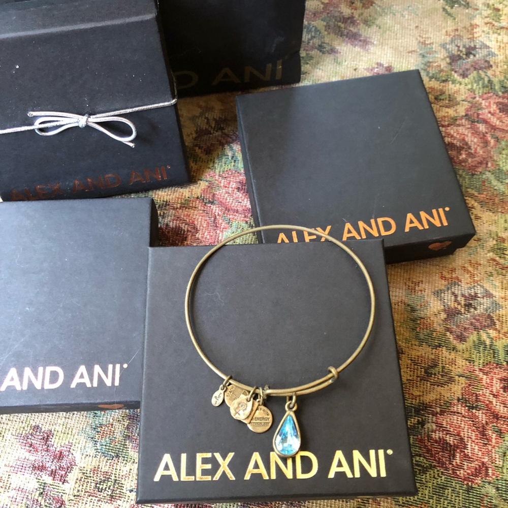 💥RETIRED💥 Alex and Ani Bracelet w/box